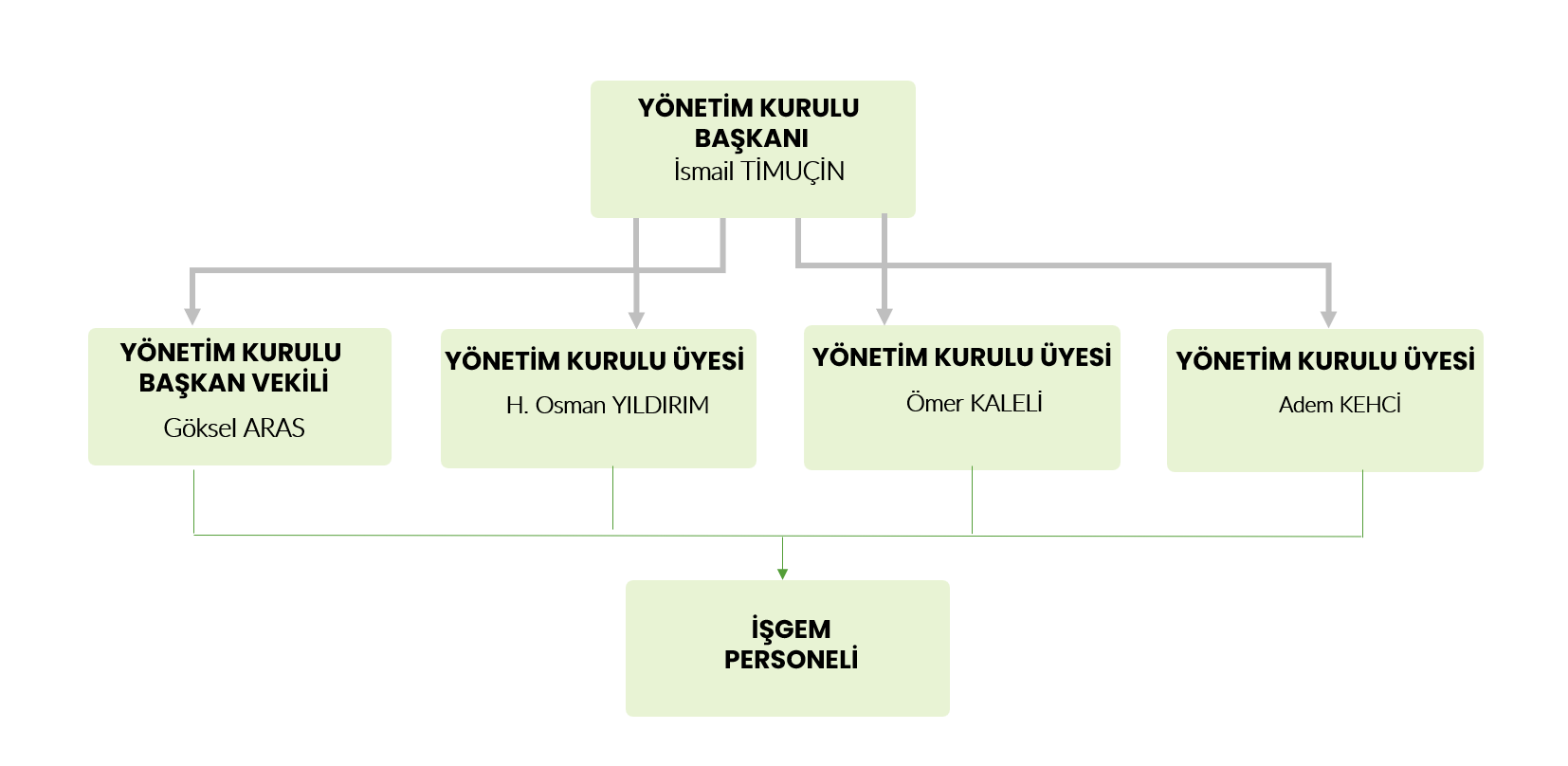 Organizasyon Şeması