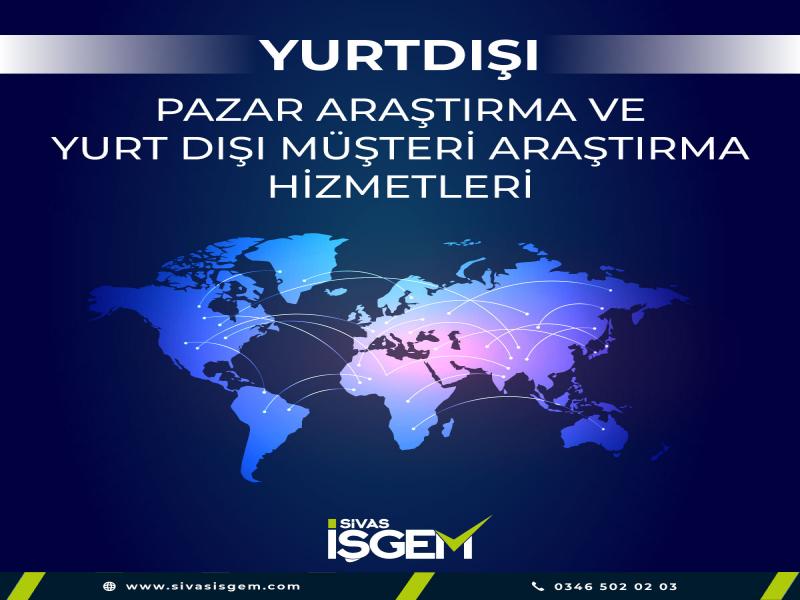 Yurt Dışı Pazar Araştırma ve Yurt Dışı Müşteri Araştırma Hizmetleri...