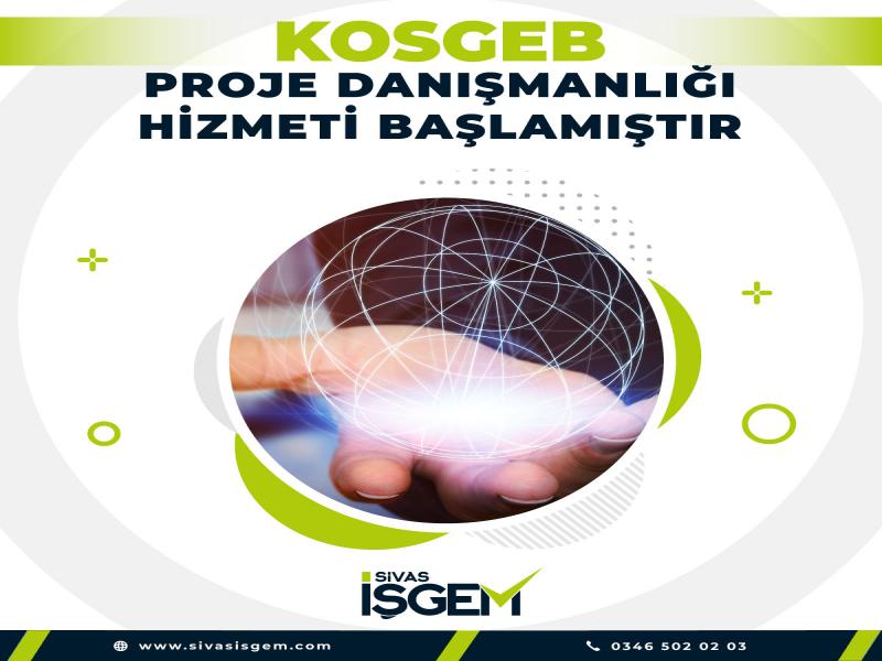 KOSGEB Proje Danışmanlığı Hizmeti Başlamıştır