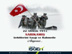 Sarıkamış Harekatı